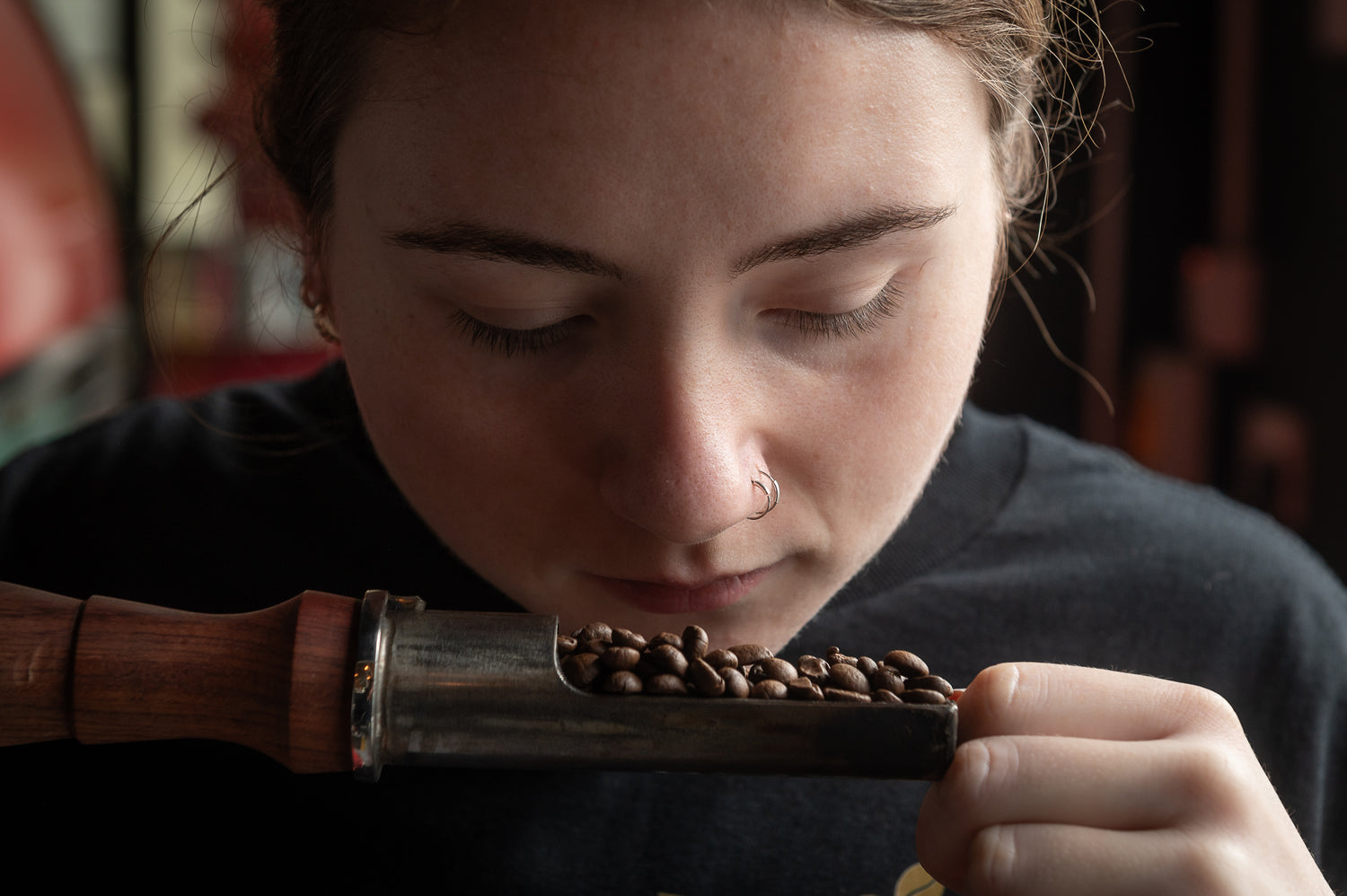 Explore Our Seasonal Coffee