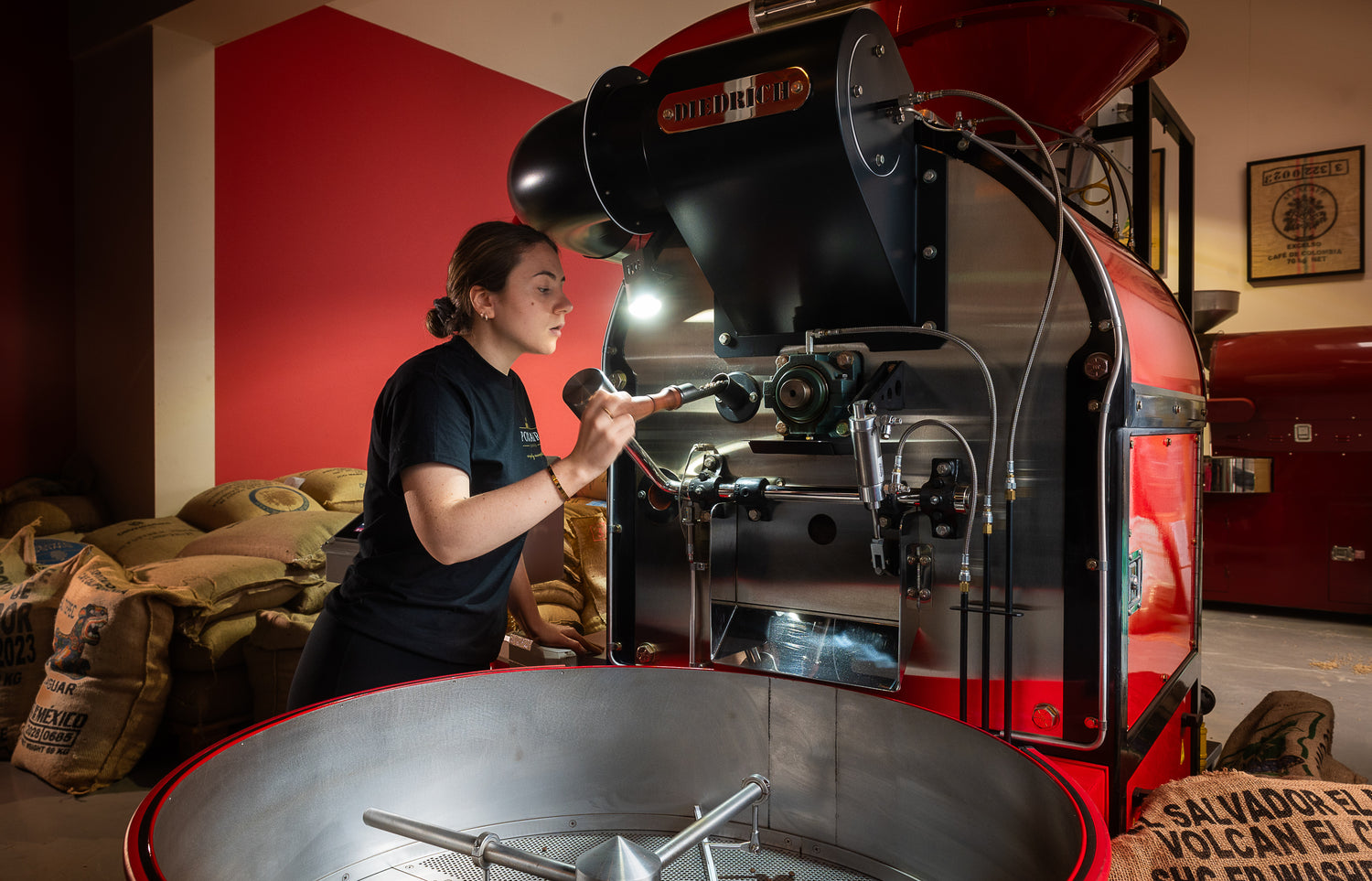 Explore Our Year-Round Coffees