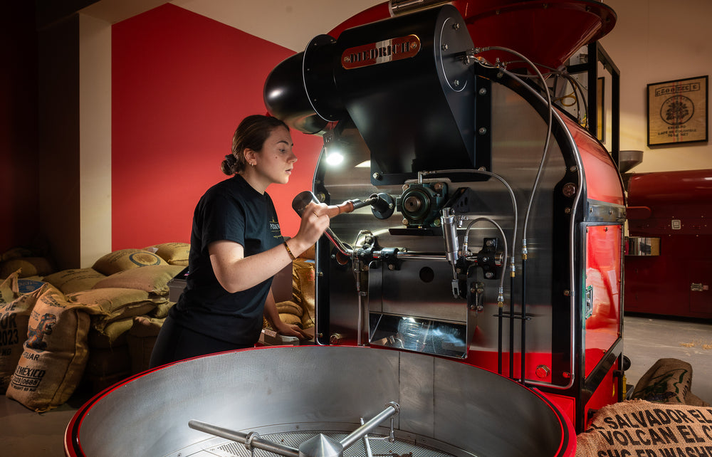 Explore Our Year-Round Coffees